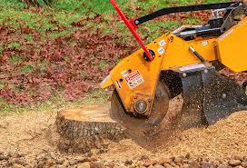 Maywood, CA Tree Care Company
